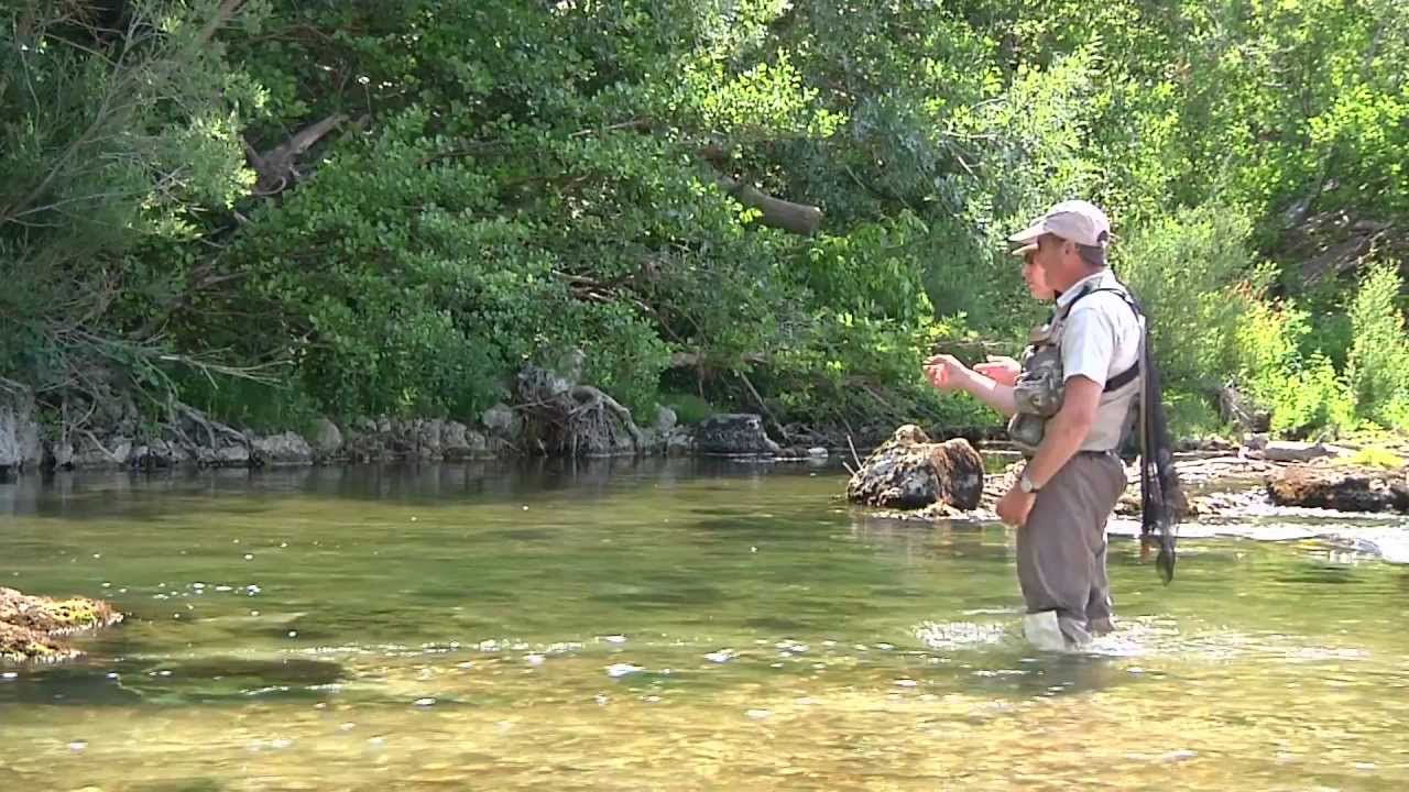 Séjour pêche en Cévennes